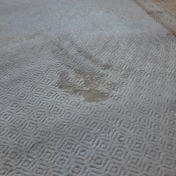 Keşke Halı Yıkama Halı Yıkama Fabrikası