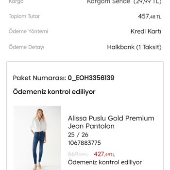 Mavi Ödeme Kontrol Ediliyor Sorunu