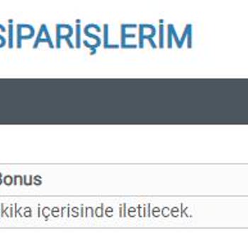 epin.com.tr E-Pin Kodum Nerede?