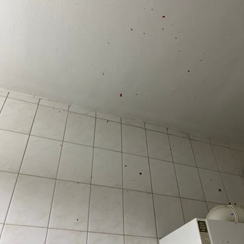 Migros'dan Aldığımız Salça Bomba Gibi Patladı