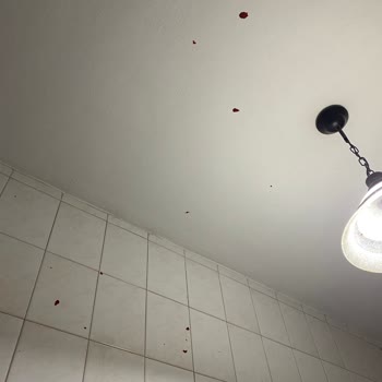 Migros'dan Aldığımız Salça Bomba Gibi Patladı