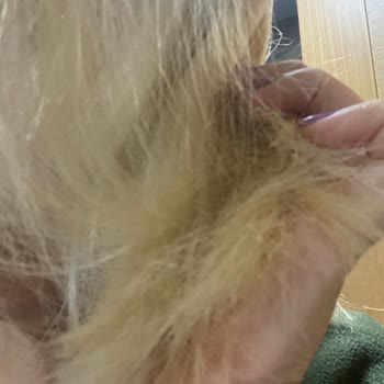 More Kuaför (İzmir) İzmir'deki Kuaförde Yaşanan Tatsız Deneyim