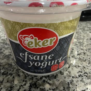 Eker Yoğurttan Sinek Cıktı