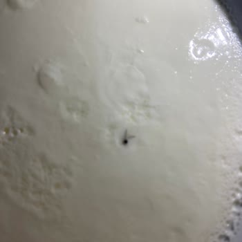 Eker Yoğurttan Sinek Cıktı