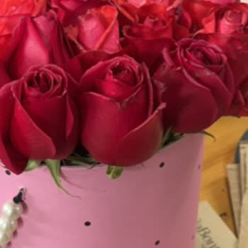 Çiçek Sepeti Mağdurları Devam Serisi