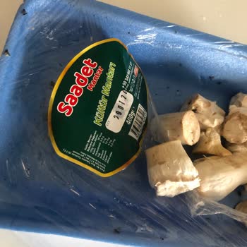 Saadet Mantar Bir Paket Sinek