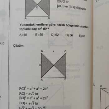 Nobel Akademik Çok Fazla Hatalı Soru Var