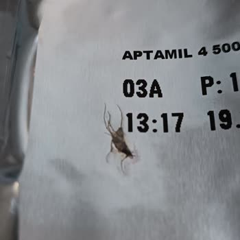 Aptamil Mama Paketindeki Sinek