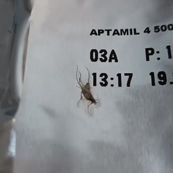 Aptamil Mama Paketindeki Sinek