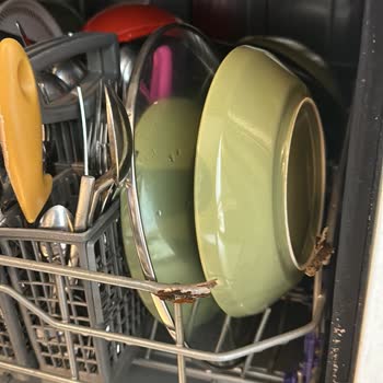 LG Bulaşık Makine Sepeti