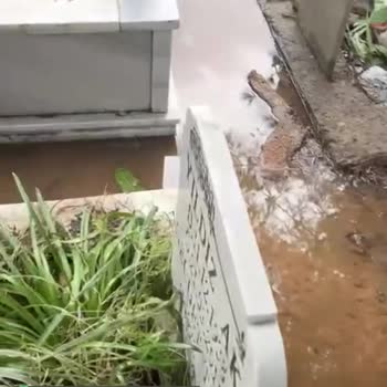 Mahmutbey Mezarlığı Berbat Durumda!