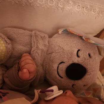 Fisher-Price Uyku Arkadaşı Koala