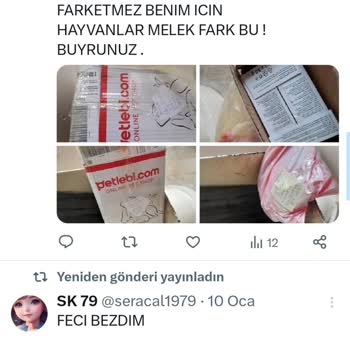 Petlebi Ücret İadesi Sorunu