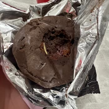 Torku Kekten Kurt Çıktı