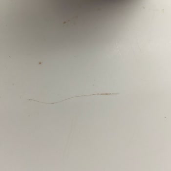 Nutella Nın İçin 2 Tane Kıl Tüy Benzeri Bir Şey Çıktı