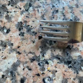 A101 Bolmix Reçelin İçinden Böcek Çıktı