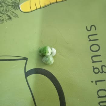 A101 Marketin Çokça Markası Bezelyesi