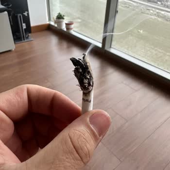 Philip Morris Sigaradan Çıkan Ağaç Parçaları