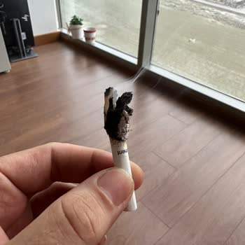 Philip Morris Sigaradan Çıkan Ağaç Parçaları