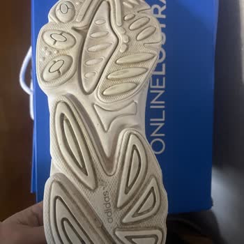 Online Lostra Vaatlerinin Boşa Çıkması