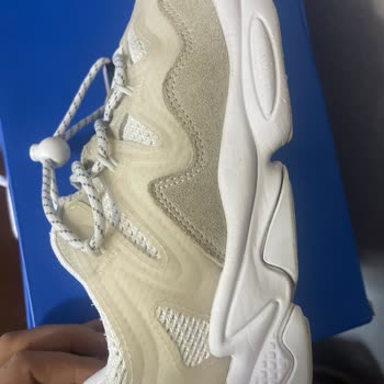 Online Lostra Vaatlerinin Boşa Çıkması