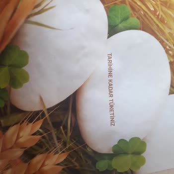 Güres Yumurta Son Kullanma Tarihi