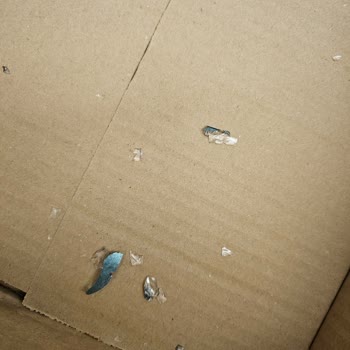 Karaca Züccaciye Karaca Container Gaziemir Defolu Ürünü Değişim Yapmadı