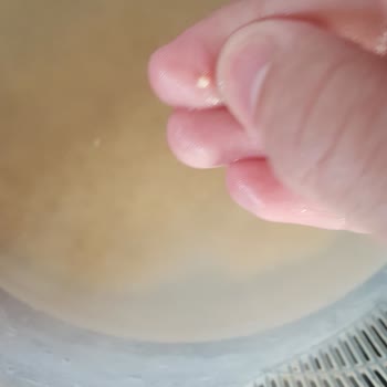 Torku Bulgur Paketinin İçindekilerin Yarısı Kurt