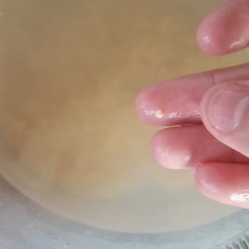 Torku Bulgur Paketinin İçindekilerin Yarısı Kurt