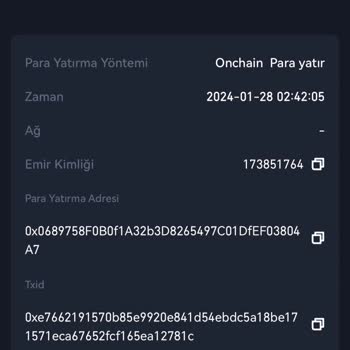 Gate.io Hatalı Shib Transferi