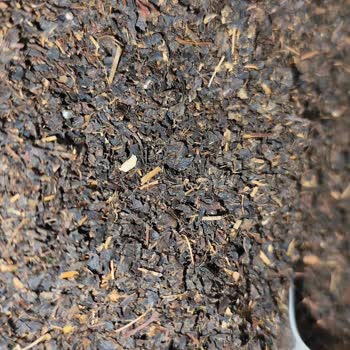 Bal Küpü Çay Dan Çöp Çıktı