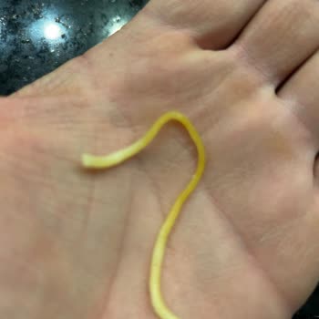 Özkaymak Falez Otel Hayal Kırıklığına Uğrattı