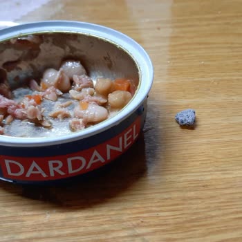 Dardanel Ton Fasulyeli Ton Balığı