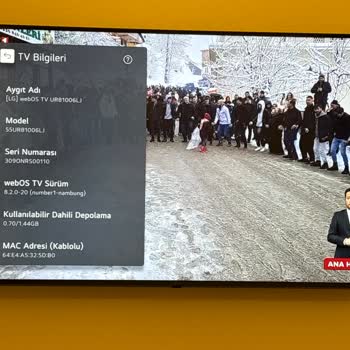 LG 55UR81006LJ Display Quality Issues