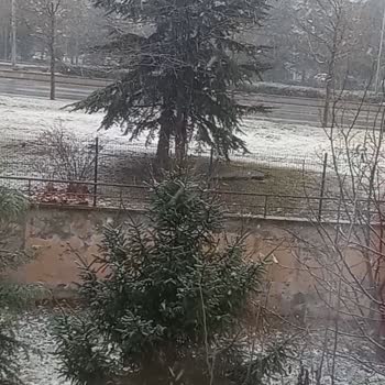 Turkcell İnternet Hiç Çekmiyor