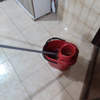 Benim Temizlikçim Düzgün Hizmet Alamadım