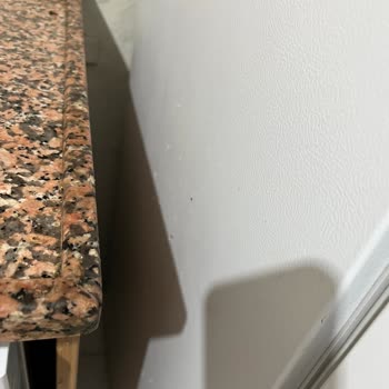 Samsung Marka Buzdolabı Boya Atması