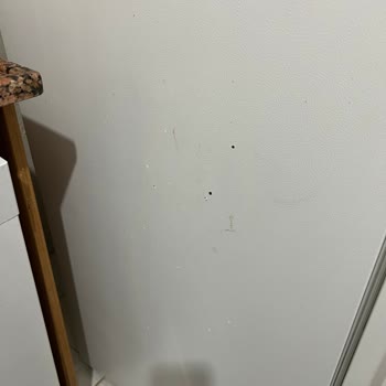 Samsung Marka Buzdolabı Boya Atması