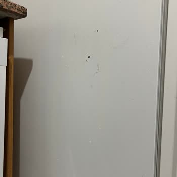 Samsung Marka Buzdolabı Boya Atması