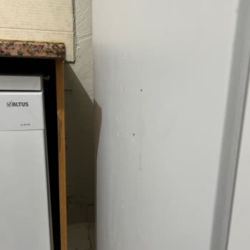 Samsung Marka Buzdolabı Boya Atması