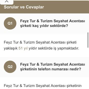 Google Karışıklığı
