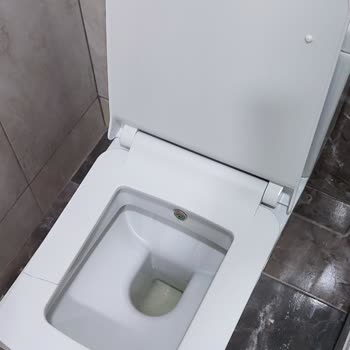 Seramiksan Klozet Kapağı Oturma Yeri Kırıldı