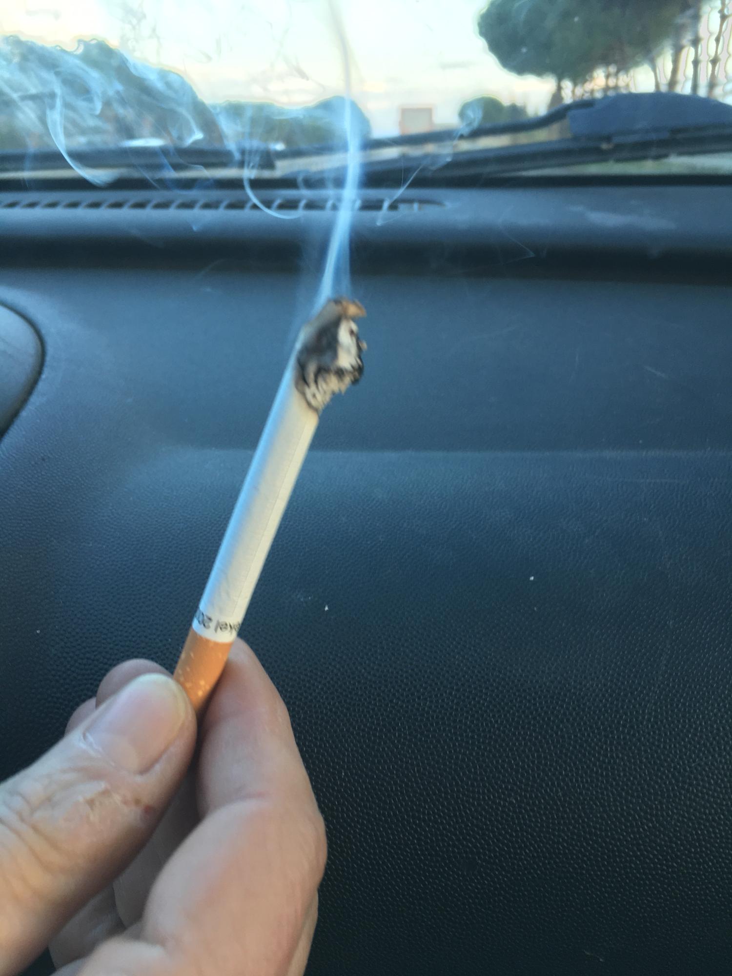 tobacco free blunt cones Futurola Tyson Ranch Terpene-Infused Blunt Cones - 12ct tobacco free blunt cones Futurola Tyson Ranch Terpene-Infused Blunt Cones - 12ct