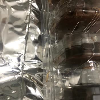 Ülker De Kurt Çıkması