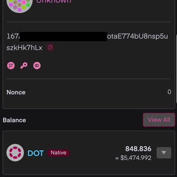 Paribu Dot Coin Transfer Problemi