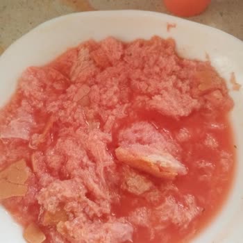 Knorr Aldığımız Çorba Tamamen Bir Gıda Zehirlemesi