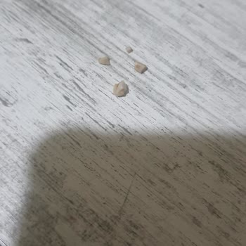 Şok Marketler Bisto Ayçekirdekli Ekmek