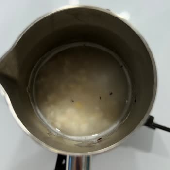 Makarna Lütfen Güvelenmiş Yulaf Ezmesi