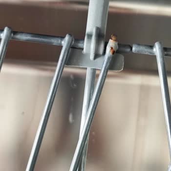 Arçelik Bulaşık Makinesi Izgara Telinde Paslanma