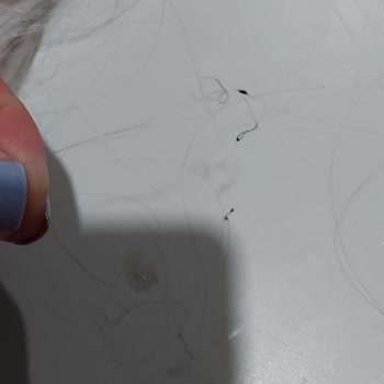 Gold Peruk Sentetik Karışımlı Saç Satıyor